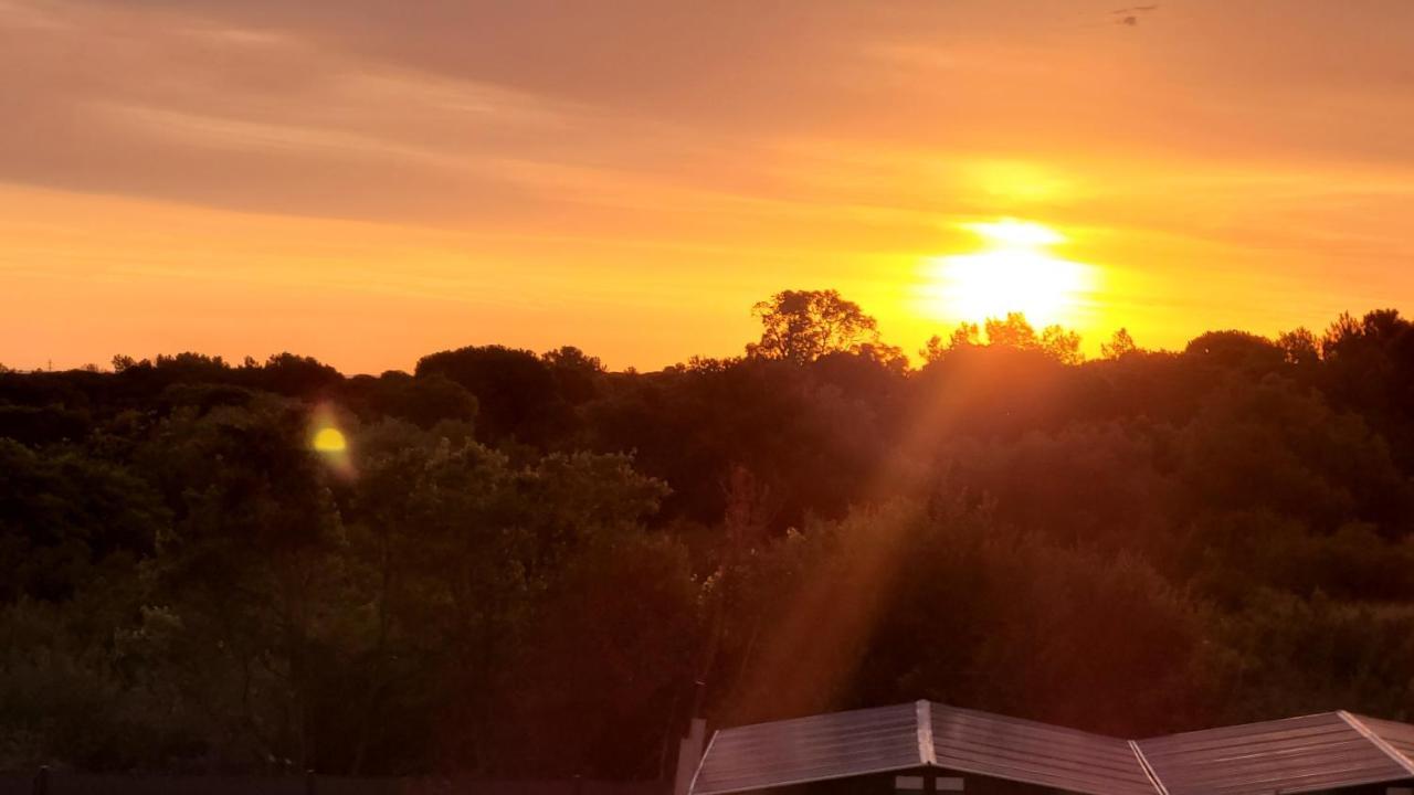 Gite Du Soleil Maison Lumineuse Avec Terrasse Solarium Parking Prive Sorède Εξωτερικό φωτογραφία